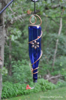 Make Take Wine Bottle Bird Feeder