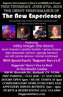 ROBBY KRIEGER (OF THE DOORS) THE NEW EXPERIENCE