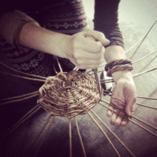 Willow Basketry Course