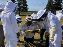 2022 Apprentice Beekeeper Certification