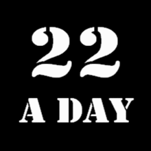 22 A DAY