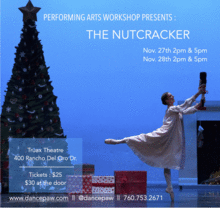 Performing Arts Workshop presents : The Nutcracker