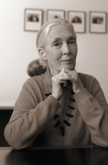 51 HQ Photos Jane Goodall Movie Hope : Doctor Jane Goodall on Covid-19, hope and life after ...